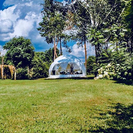 B Our Guest At Your Cozy Hideaway Dome Near Dresden Frauendorf  Luaran gambar