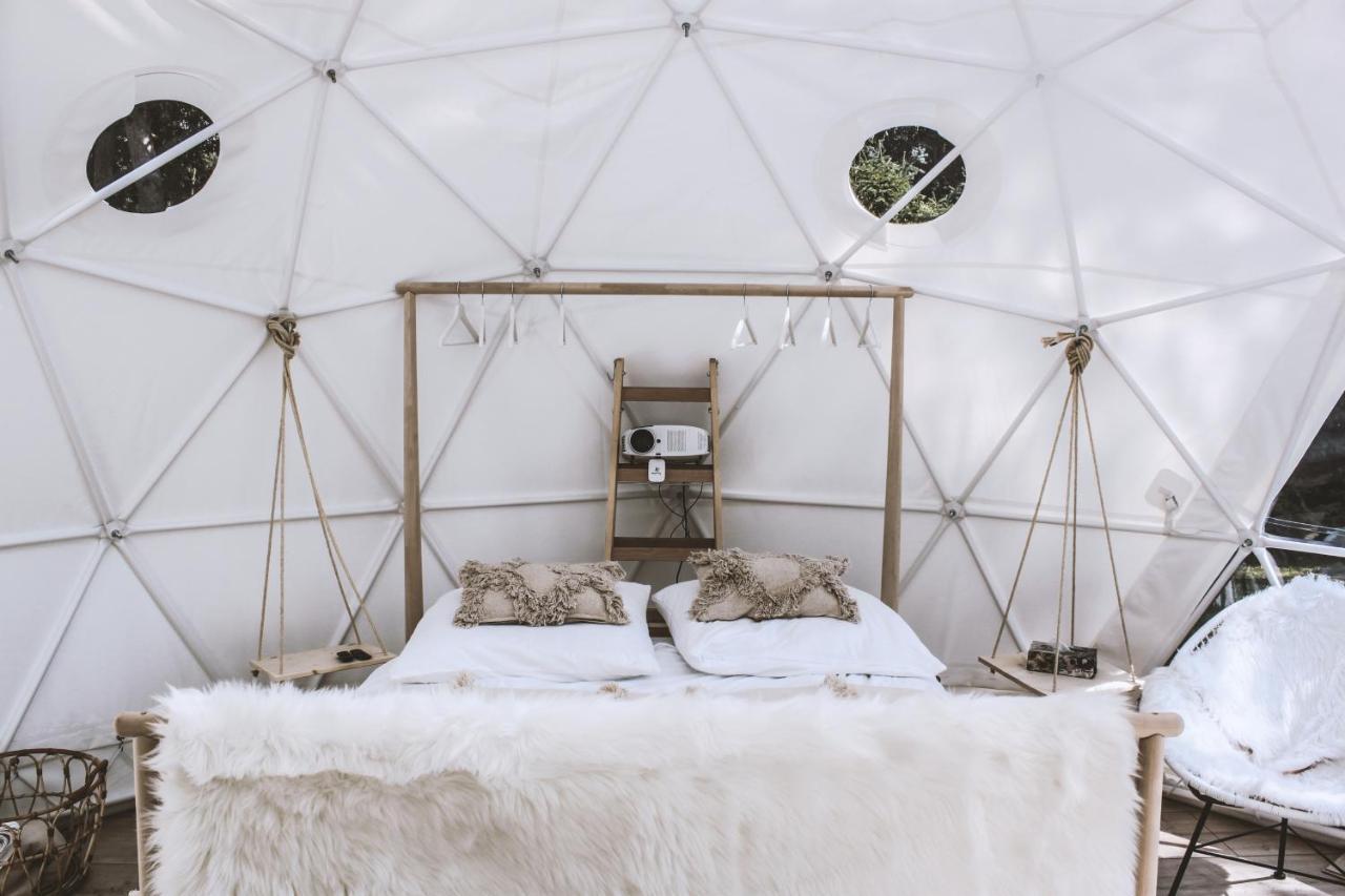 B Our Guest At Your Cozy Hideaway Dome Near Dresden Frauendorf  Luaran gambar